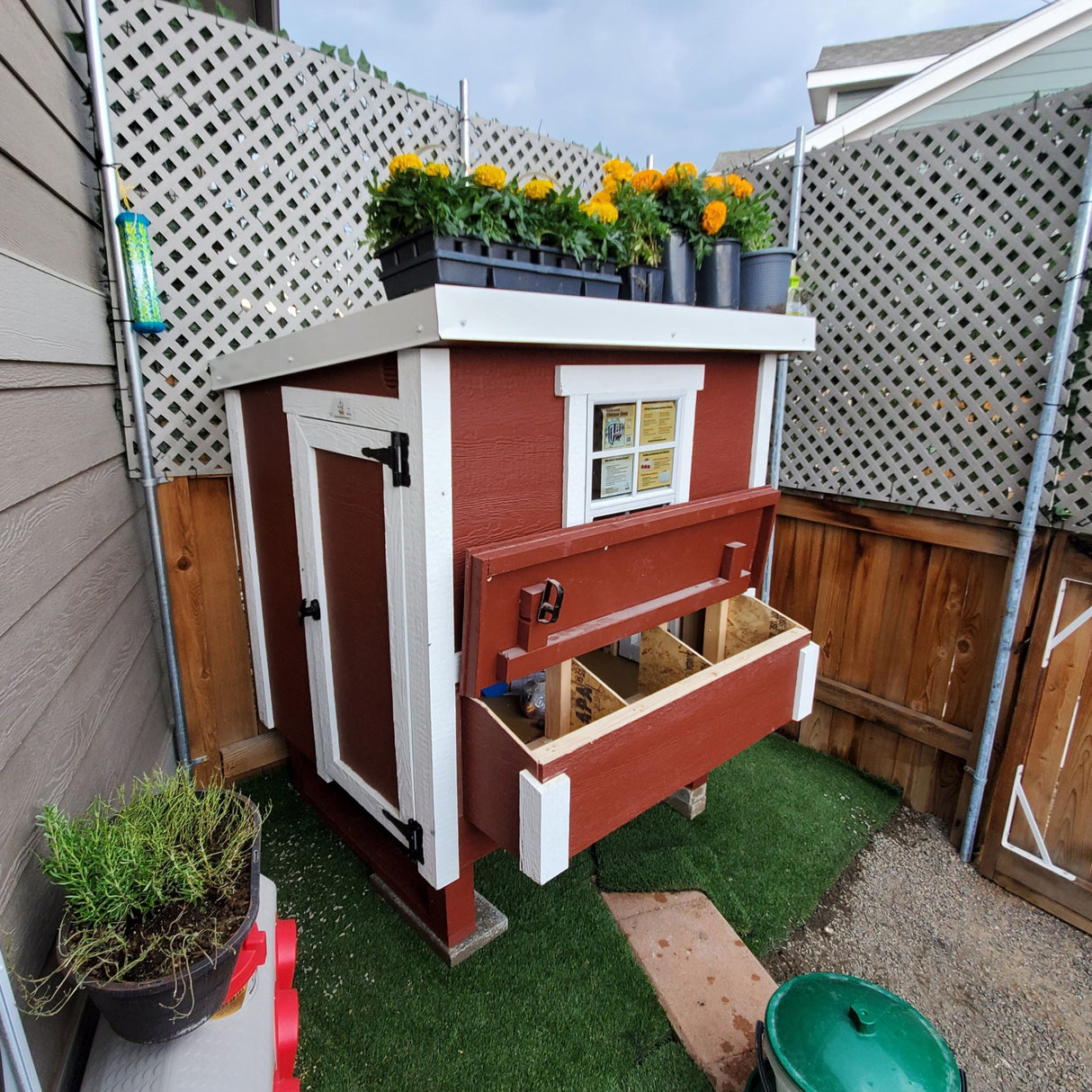 Chicken Coop - Medium (Up to 10 Chickens)