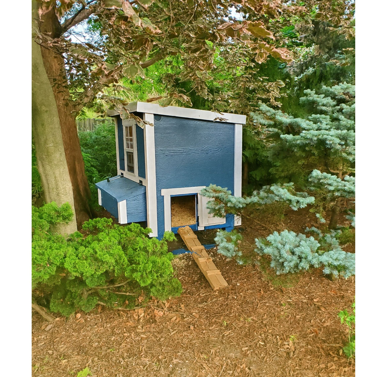 Chicken Coop - Medium (Up to 10 Chickens)