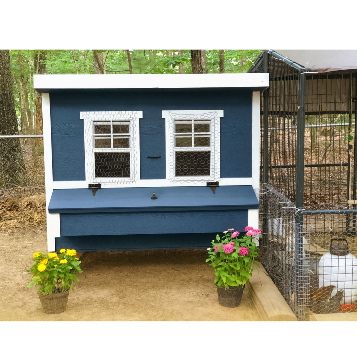 Chicken Coop - Large (Up to 15 Chickens)