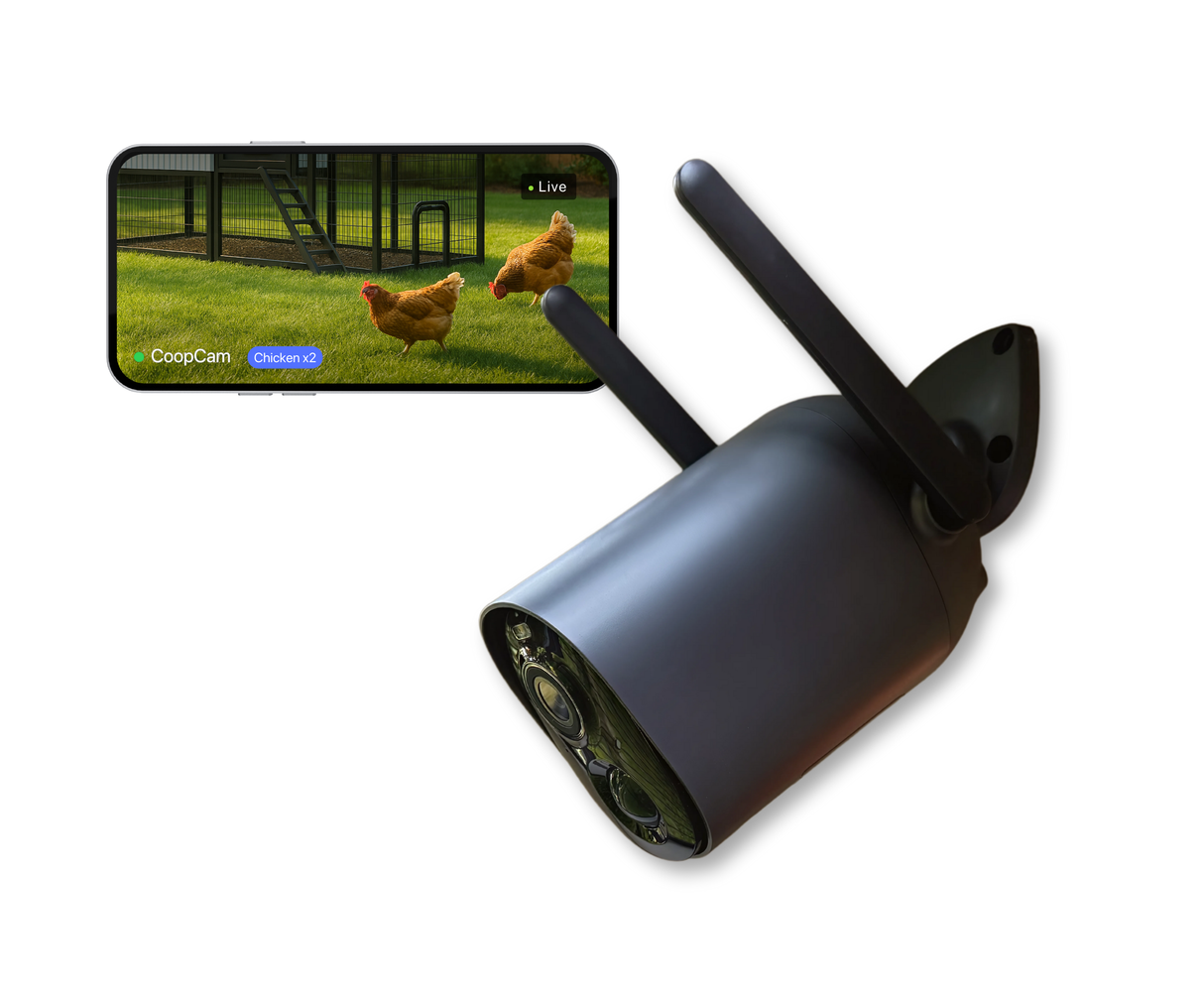 Wireless chicken coop camera with live poultry monitoring on a phone screen