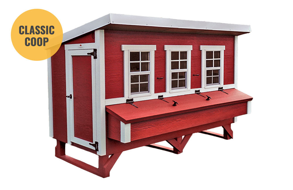Chicken Coop - X-Large - (Up to 20 Chickens)