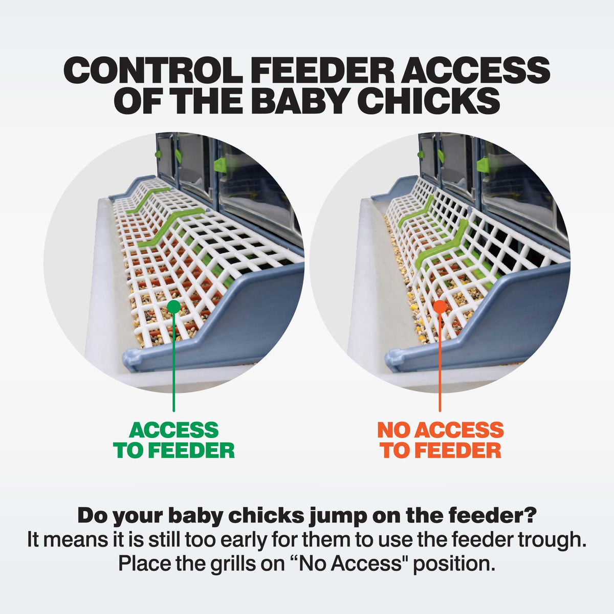 Chick Brooder - H:9.5" Double Layer Addition