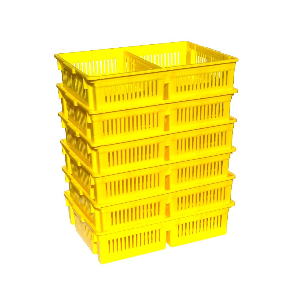 Reverse Stacked Chick Basket with Middle Divider for Newborn Transport - Hatching Time