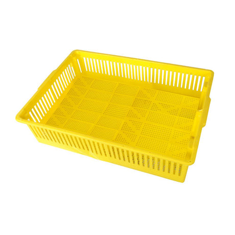 100 Count Chick Basket for Newborn Transport - Hatching Time