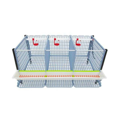 Hatching Time Cimuka. TYK40 15” Chicken cage 1 layer. Image shows chicken cage from front and above. Roof and front walls are removed to show inside of cage. Roll out egg trays can be seen on front under feeding trough. Automatic drinker system is seen on back wall of cage.