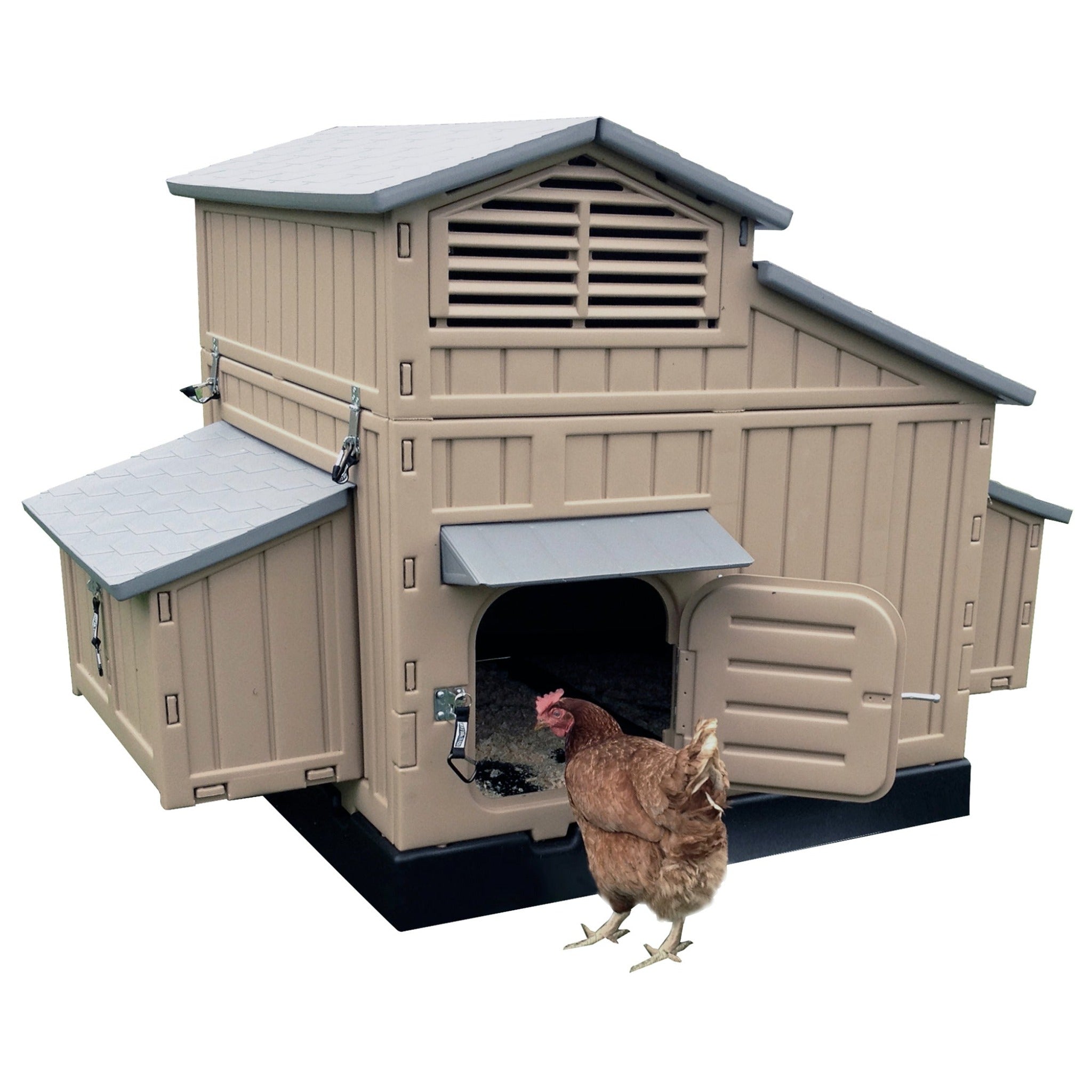 Hatching Time. Formex Large chicken coop front view with chicken standing outside of it. Large enough for 8 chickens.