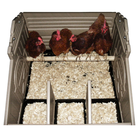 Hatching Time. Interior view wit roost  and chickens for Standard Formex Chicken coop. 4 chickens can be seen standing comfortably on roost inside of coop.