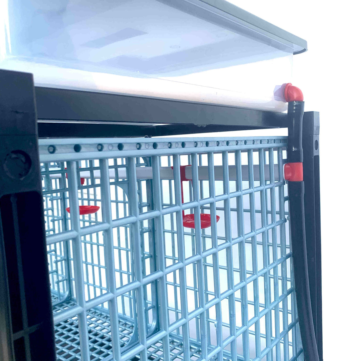 Hatching Time Cimuka. GL40 15" Grow out pen. Side view of grow out pen showing 2 gallon water reservoir tank for automatic drinker system.