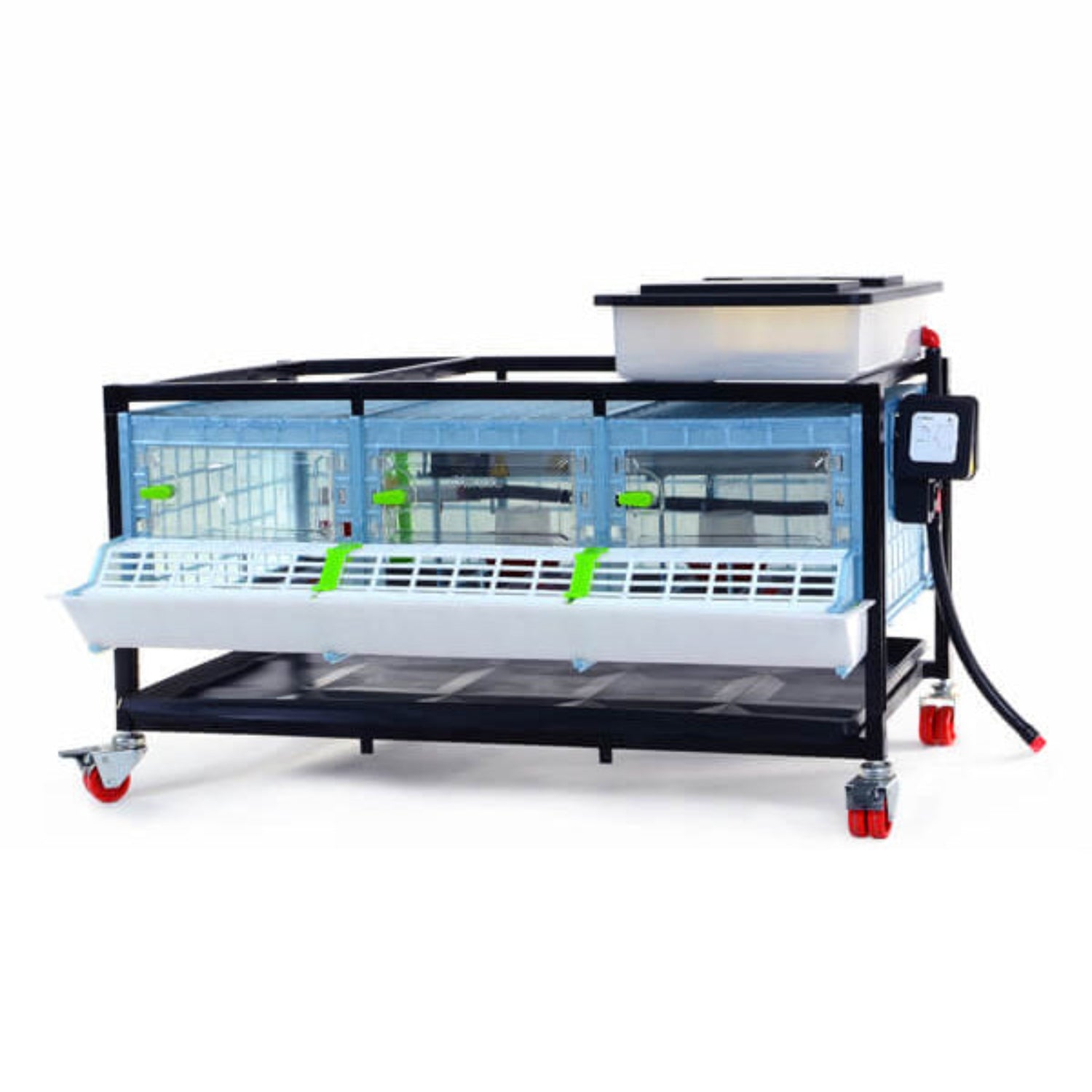 Chick Brooder 1 layer 9.5 inch - Cimuka - Hatching Time Front shown. Water tank on top of brooder to provide fresh algae free water through drinker system. Draft free design to optimize chick temperature management. Unit is on metal frame with wheels. Feeding trough and locking doors visible on front of brooder system.