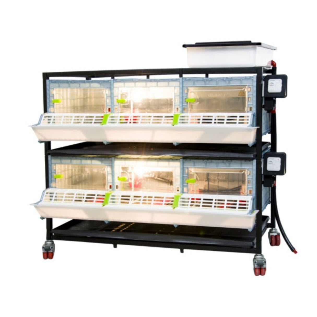 Light on inside Chick Brooder 2 layer 9.5 inch - Cimuka - Hatching Time Water tank on top of brooder visible to supply algae free water to drinker system. Feeding troughs and locking doors visible on front of brooder. Brooder setup is on a metal frame with casters for ease of mobility.