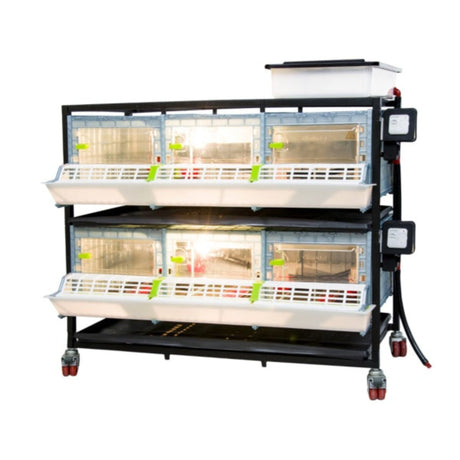 Light on inside Chick Brooder 2 layer 9.5 inch - Cimuka - Hatching Time Water tank on top of brooder visible to supply algae free water to drinker system. Feeding troughs and locking doors visible on front of brooder. Brooder setup is on a metal frame with casters for ease of mobility.