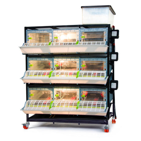 Cimuka Chick Brooder - 3 layer Height 9.5 inches . Front of Brooder setup shown with lights on inside. LED light dose not supply heat. Water tank visible on top of brooders. Thermostats visible connected to each brooder for optimal temperature . Brooder setup is on metal frame set on casters for mobility.