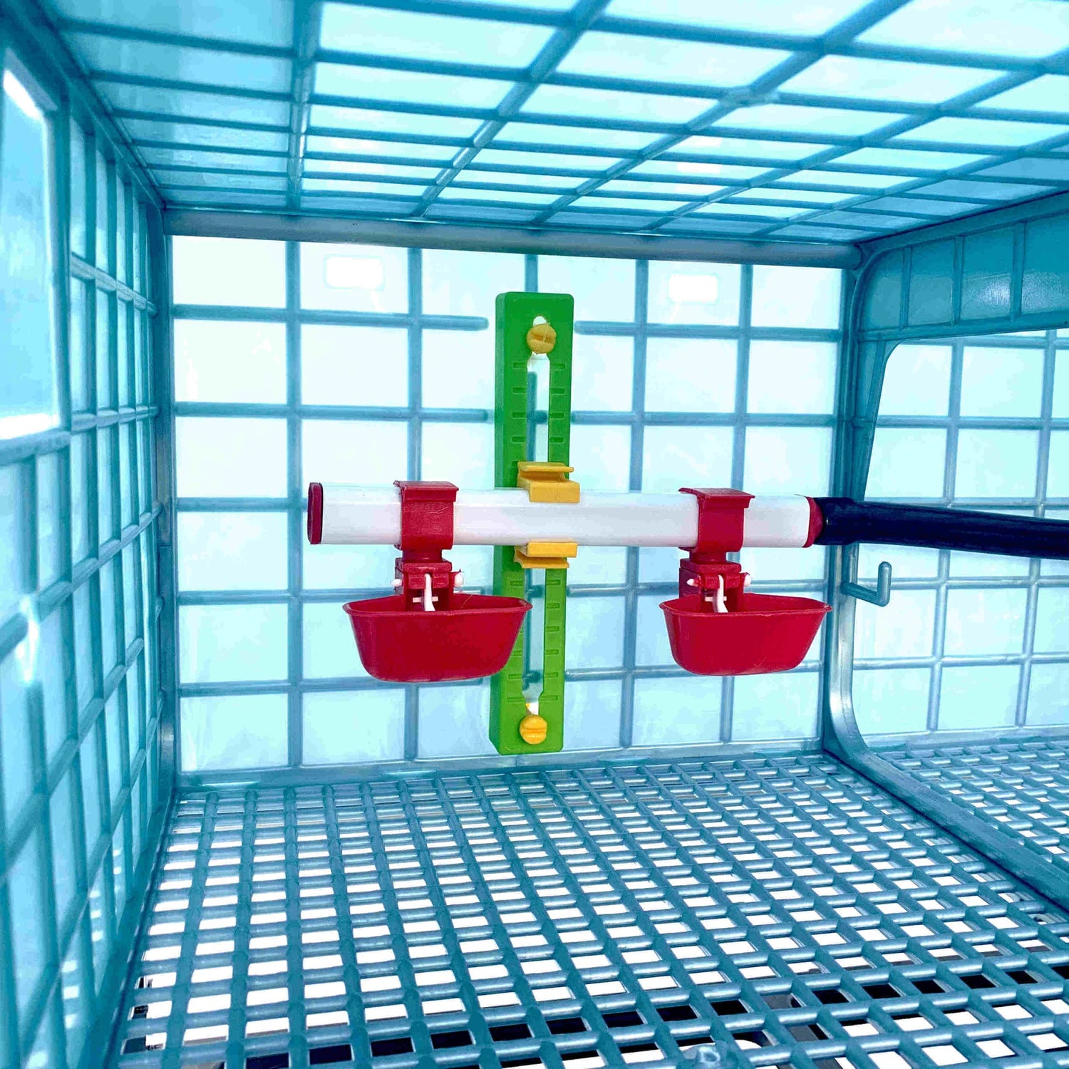 Hatching Time Cimuka GL25 9.5" Grow out pen. Interior view showing the automatic drinker system and drinker cups on wall of grow out pen.