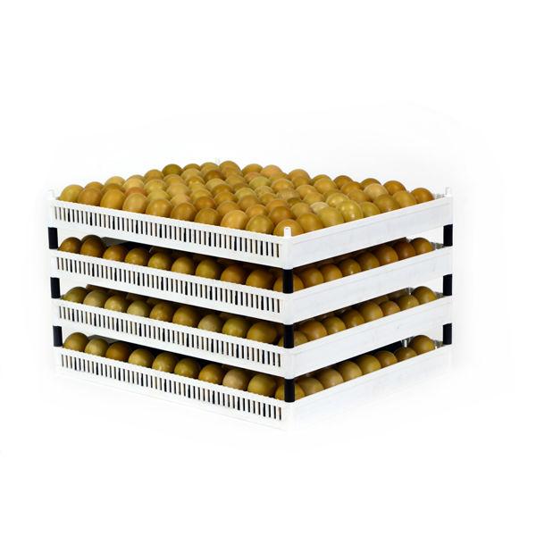 Flexy 80 Stacking - Hatching Time