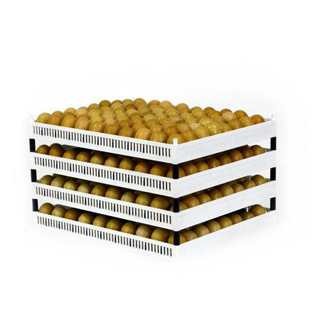 Flexy 80 Stacking - Hatching Time