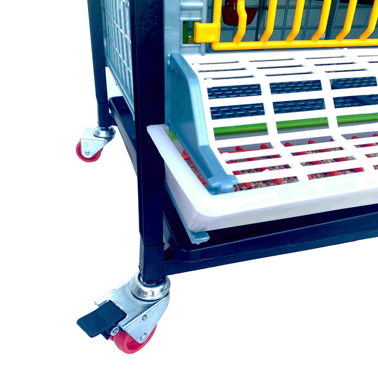 Hatching Time Cimuka 9.5" grow out pen GL25 feeding trough can be seen in front of grow out pen with cover.