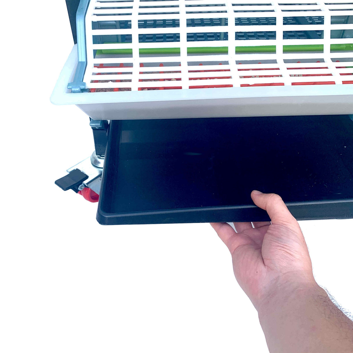 Hatching Time Cimuka 9.5" Grow out pen. Manure tray being pulled out of bottom of grow out pen. Feeding trough can be seen with cover.