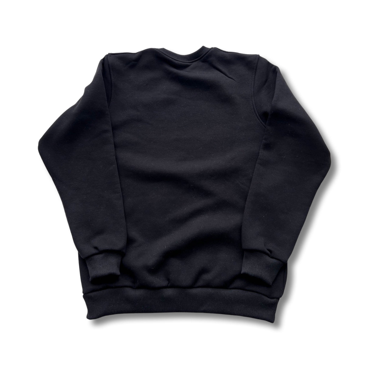HatchingTime Crewneck Sweatshirt Black Back