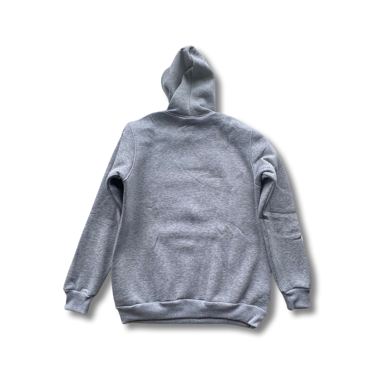 HatchingTime Hoodie Gray Back