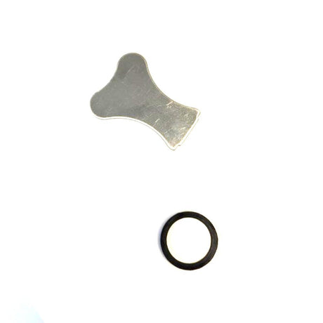 Replacement Disk with Key - Hatching Time