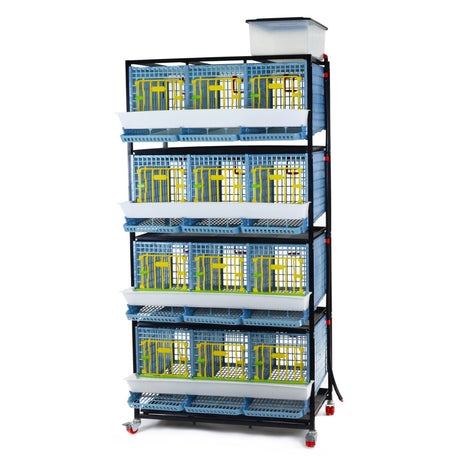 Hatching Time Cimuka. 4 Layer Partridge Cage can be seen with feeding troughs in front of doors, roll-out egg trays under each section. Gravity-fed water system tank is on top of cages with a hose connected down to each section. Cage system is on wheels.