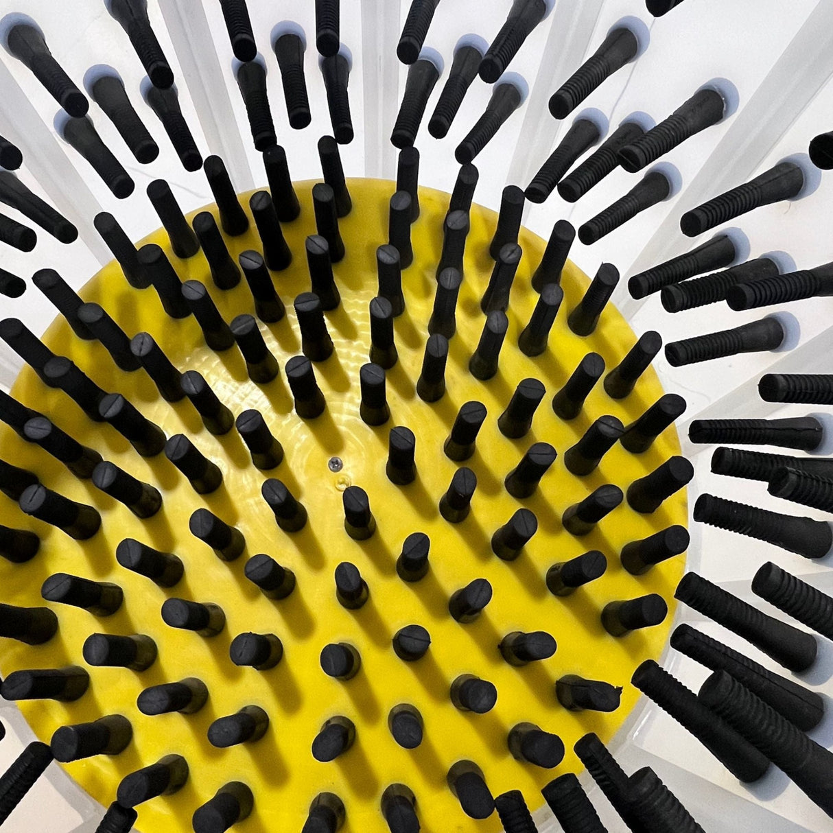 Hatching Time Cimuka. Above view of tub shows plucker fingers inside of feather plucker drum.