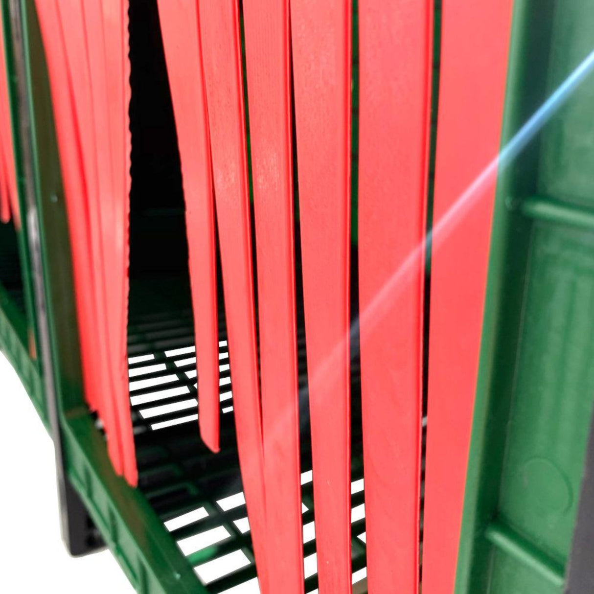 Hatching Time Cimuka. Nesting Box entrance door closeup. Comfort blinds provide privacy for egg laying.