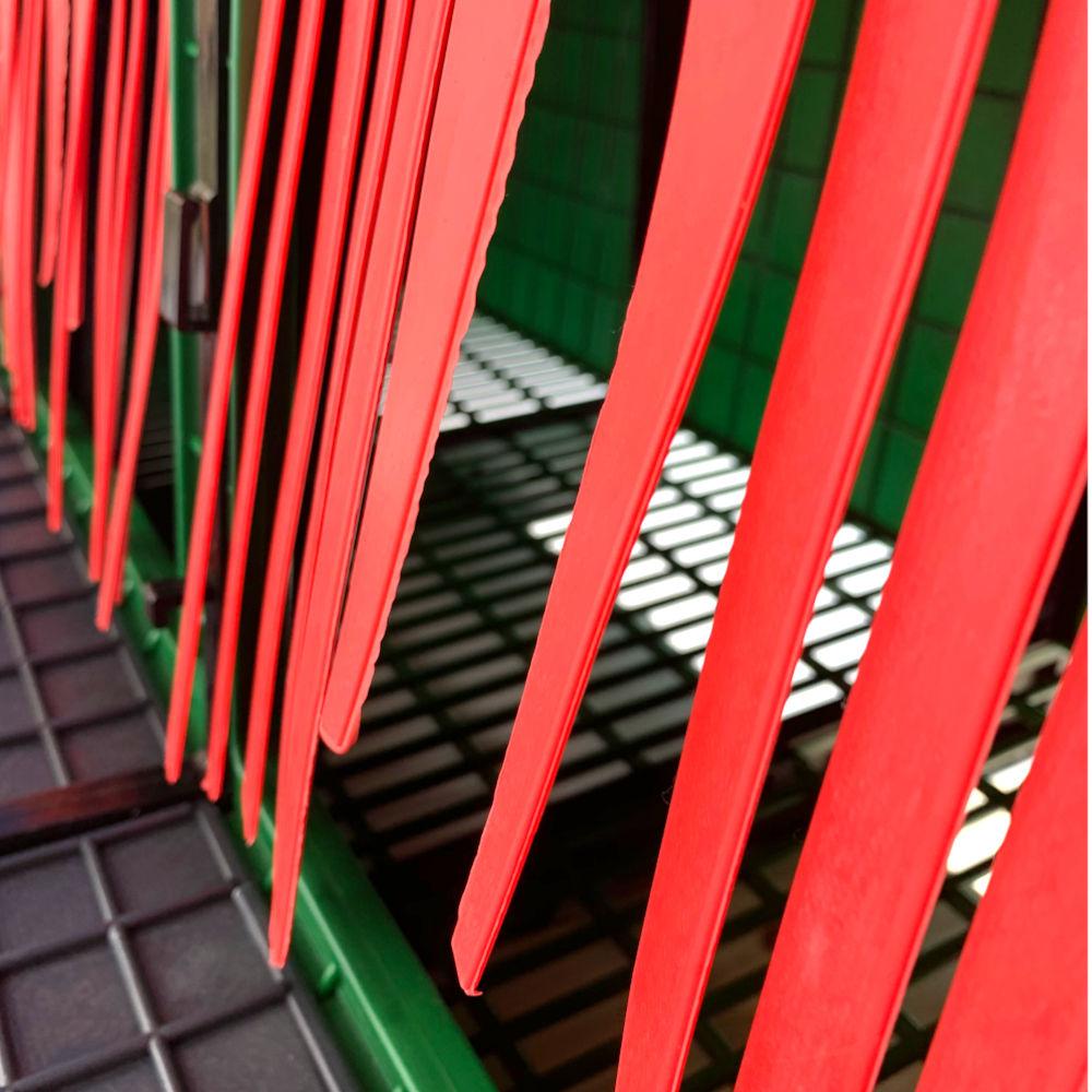 Hatching Time Cimuka. Nesting Box entrance door closeup. Comfort blinds provide privacy for egg laying.