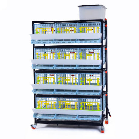 Hatching Time Cimuka 4 Layer Quail Cage front visible. Feeding trough is located on front of brooders.  Plastic doors with locks can be seen. Manure trays and egg collection roll-out trays visible on front. Quail Cages are on Metal frame with rolling casters for mobility.