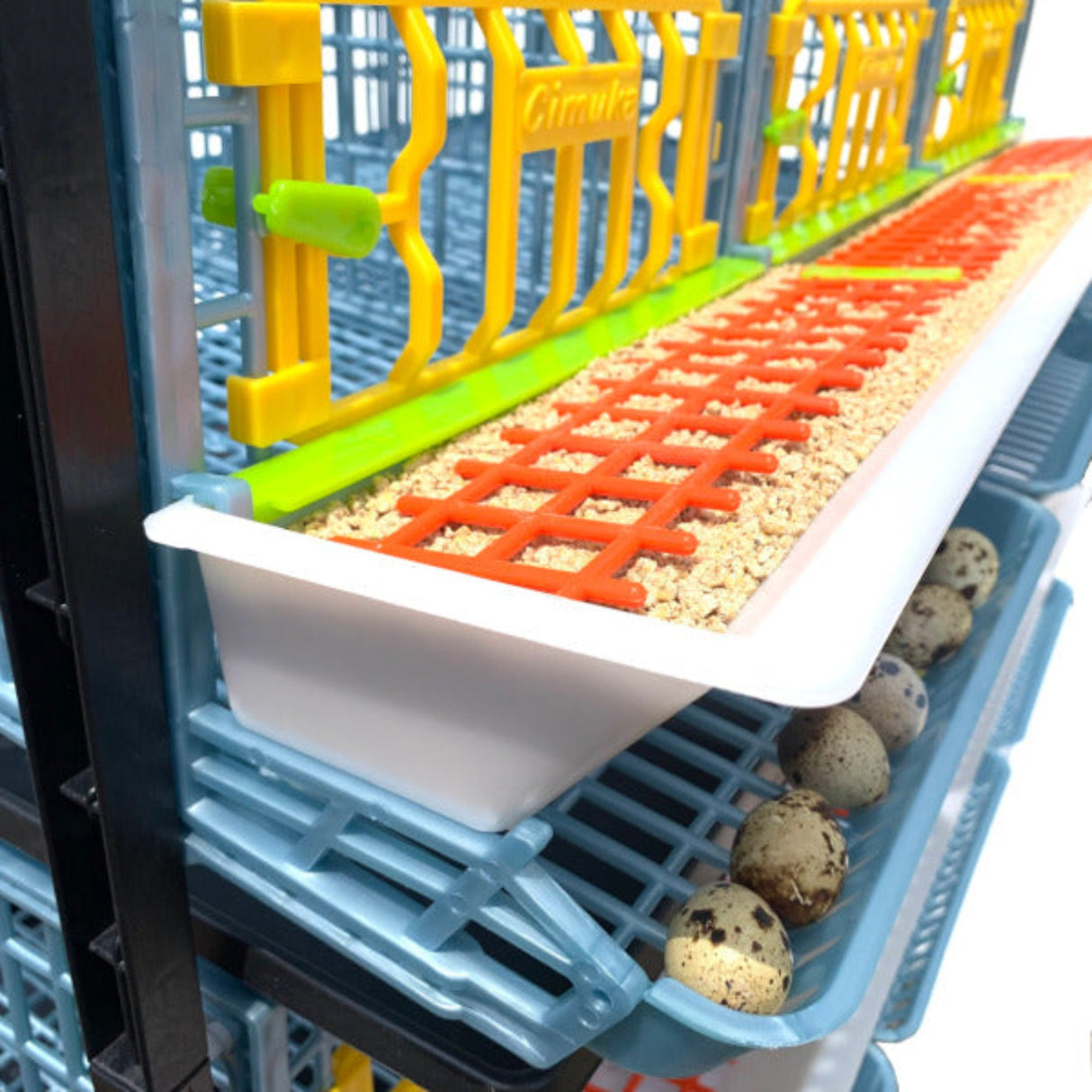 Hatching Time Cimuka Quail Cage full feeding trough shown above roll-out egg tray with quail eggs. Front of quail cage door can also be seen.