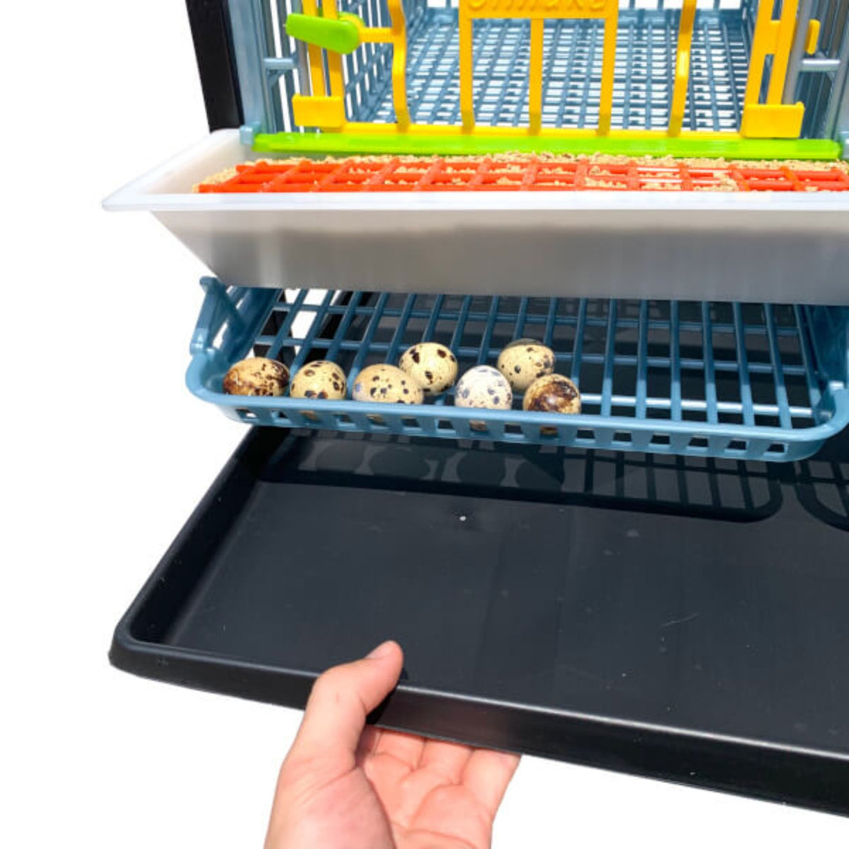Hatching Time Cimuka Quail cage shown with pulled out Manure tray and visible roll-out egg trays with quail eggs. Full feeding trough in front of quail cage door.