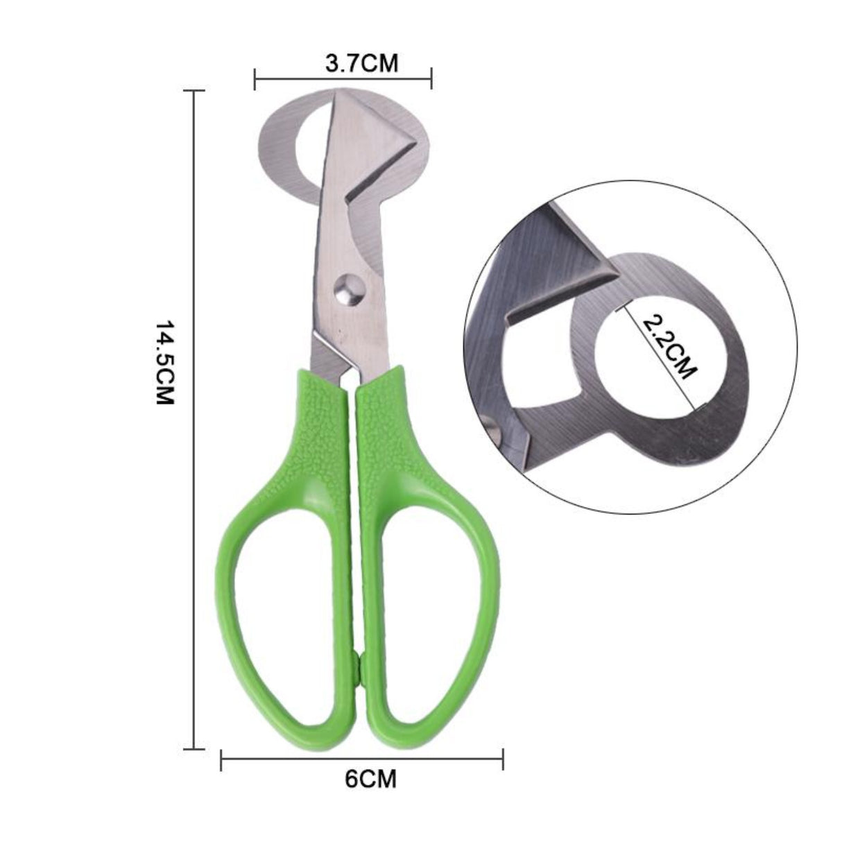 Quail Egg Scissors Dimensions - Hatching Time