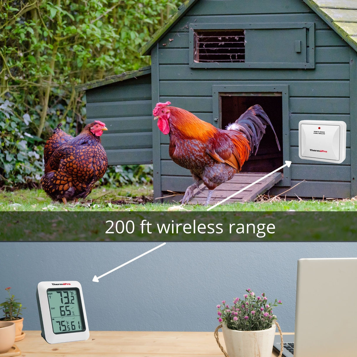 Connect transmitter up to 200 ft away - Hatching Time