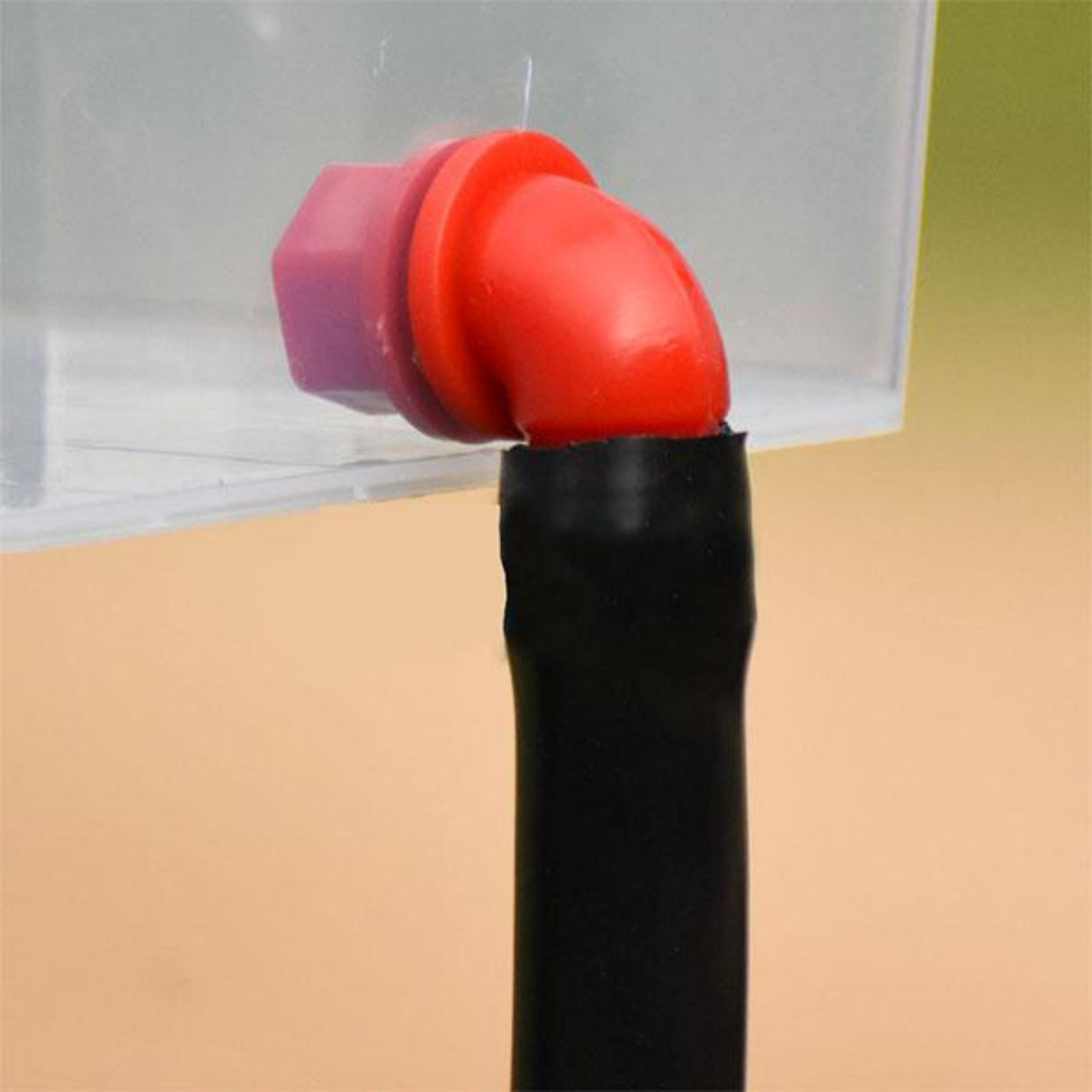 Hatching Time Cimuka. Water Tank attached to Filter -