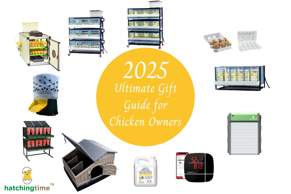 The Ultimate Guide for Gifts for Chicken Owners: Thoughtful and Practical Presents for Every Poultry Keeper