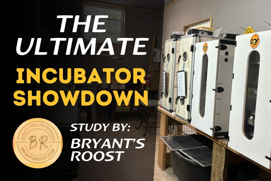 Incubator Comparison by Bryant's Roost
