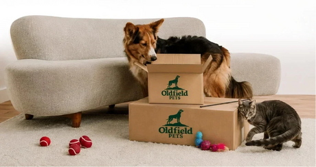 A dog and a cat with Oldfield Pets products in a living room