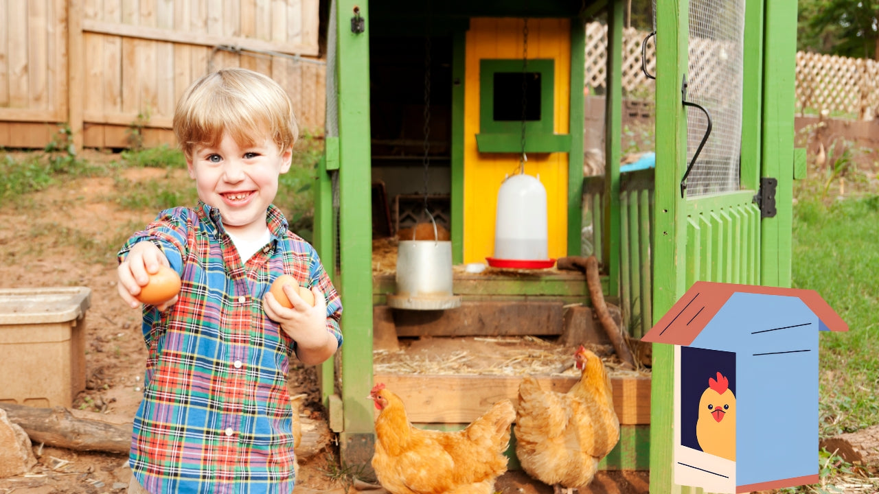 Smiling young boy collecting fresh eggs from backyard chicken coop with hens and colorful wooden coop in the background