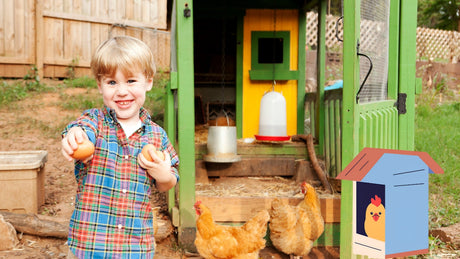 Smiling young boy collecting fresh eggs from backyard chicken coop with hens and colorful wooden coop in the background