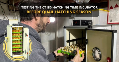 Testing the CT180 Hatching Time Incubator for Homestead Success
