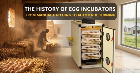 Blog hero image showing the evolution of egg incubation from ancient manual hatching to modern egg incubators. Left side_ warm mud-brick hatchery room with eggs on straw and a worker silhouette managing heat. 