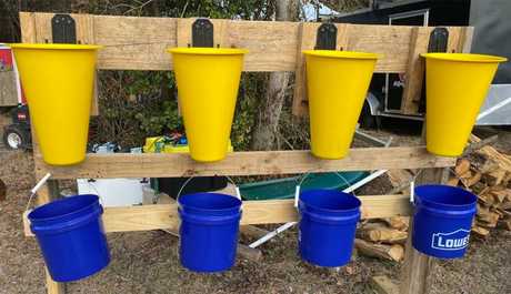 Three yellow plastic chicken killing cones mounted on a wooden stand above a blue bin for poultry processing.