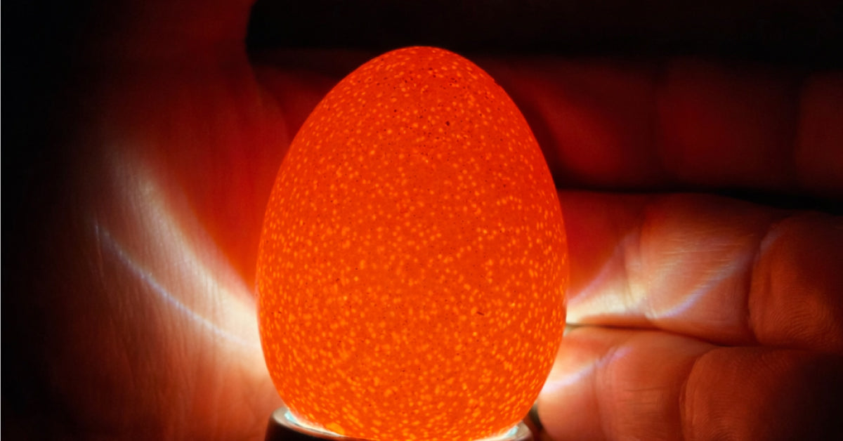 Properly Incubating Poultry Eggs