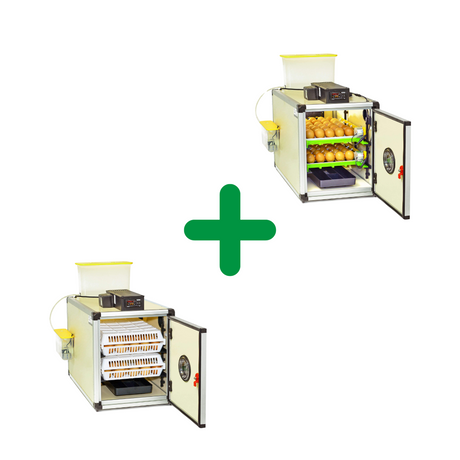 Hatching Time Cimuka. 2 CT60 incubators can be seen in image 1 is setup for egg setting and the other is setup with hatching. both are included in kit.