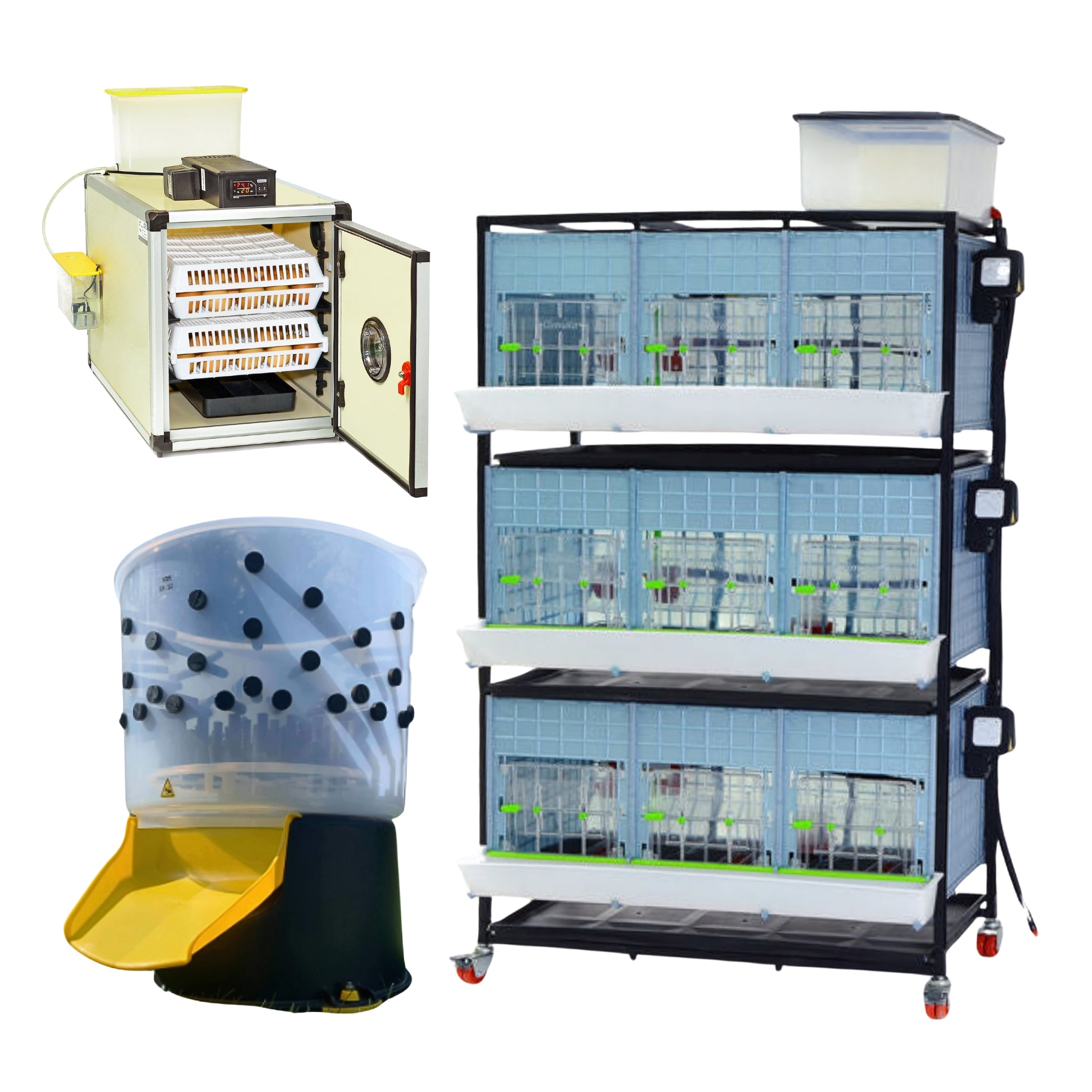 Innard Poultry Machine Innovative Poultry Equipment (Future Of Poultry Care) | Hatching Time
