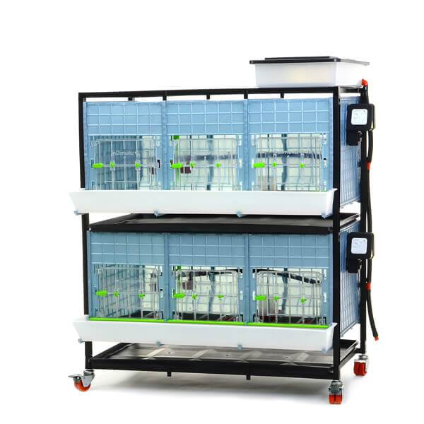 Hatching Time Cimuka. CB40 15" Chick brooder is seen in image with feeding trough in front of brooder and water reservoir tank on top. Brooder is on rolling casters for mobility.