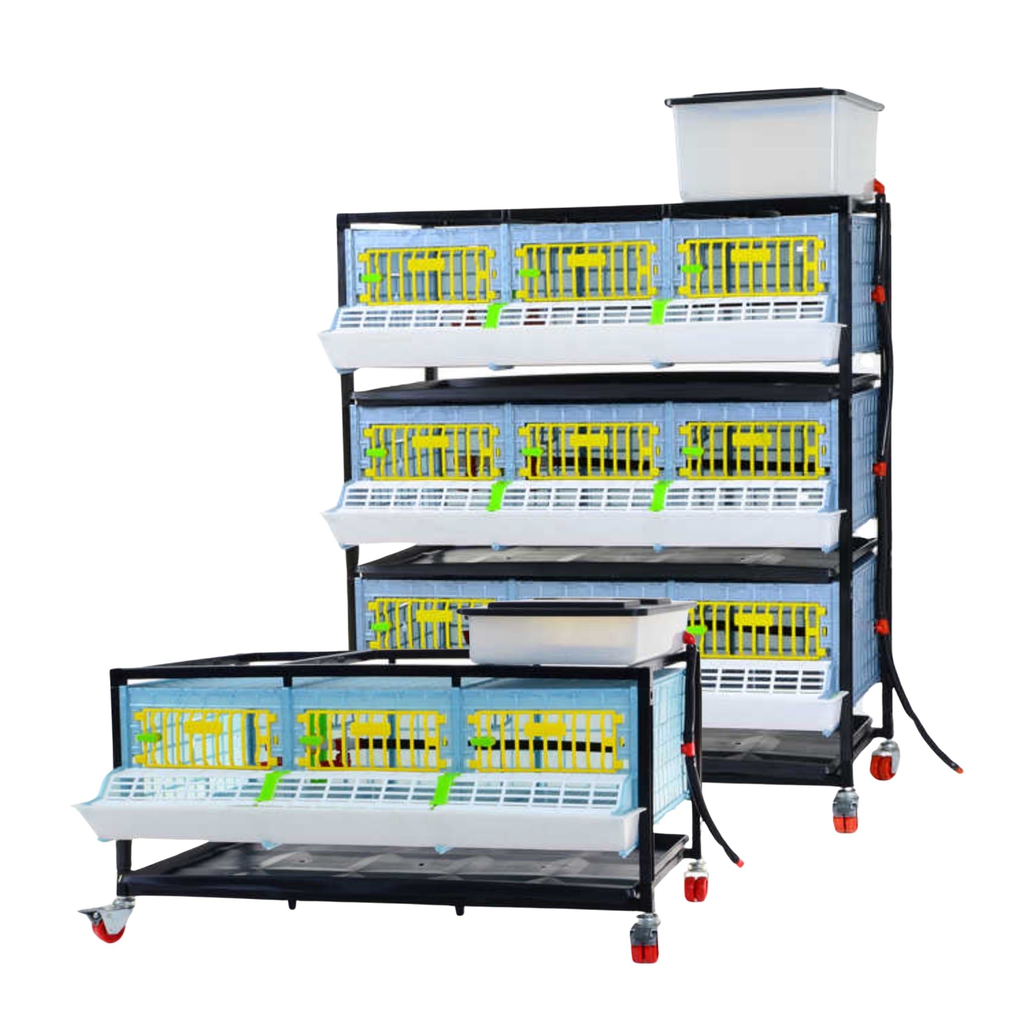 Hatching Time Cimuka. 1 layer cb25 chick brooding pen and 3 layer cb25 chick brooders can be seen in image with feeding troughs and water drinker system built-in.