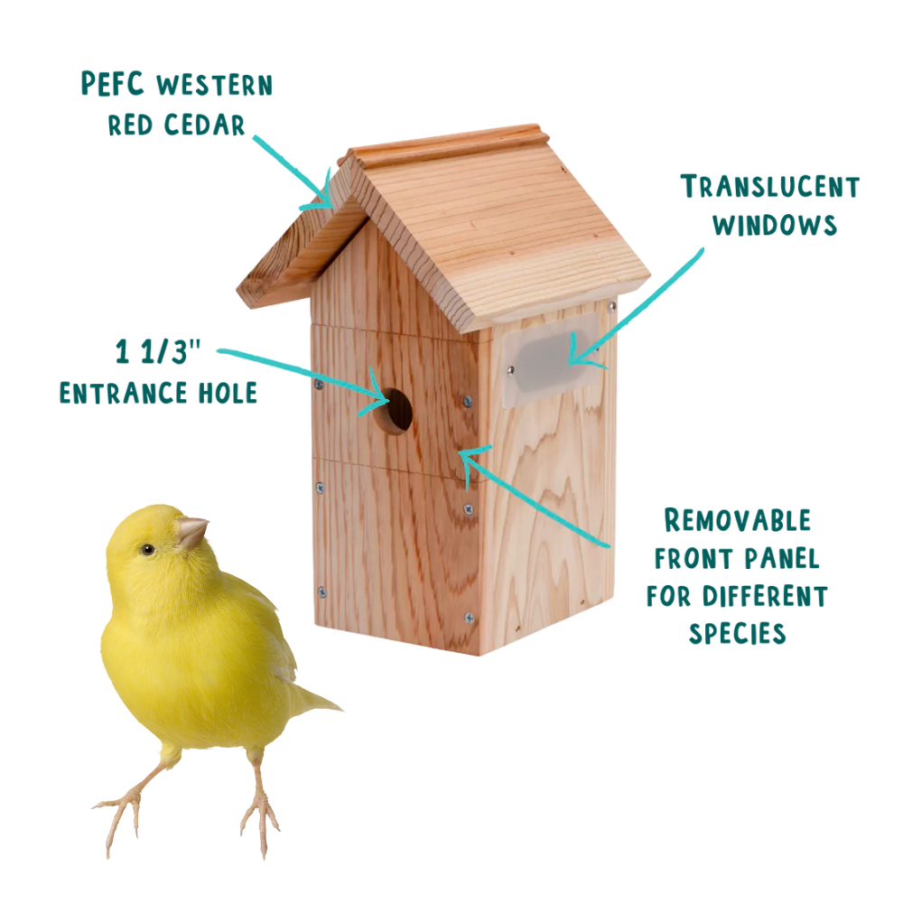 Hating Time Camera Bird House by Nestera (All-Weather) | Hatching Time