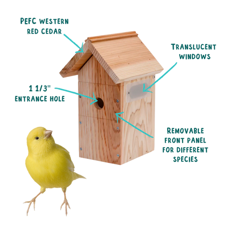 Hatching Time Nestera. Camera bird houses can be see with a chick in front and features, translucent windows, removable front panel shows different birds can enter if 1 and 1 third inch hole is too small.