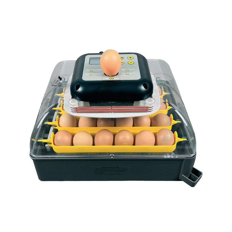 Innard Poultry Machine Innovative Poultry Equipment For Poultry Lovers – Hatching Time